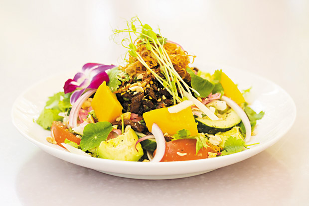 Thai Grilled Kalbi Steak Salad ($17)