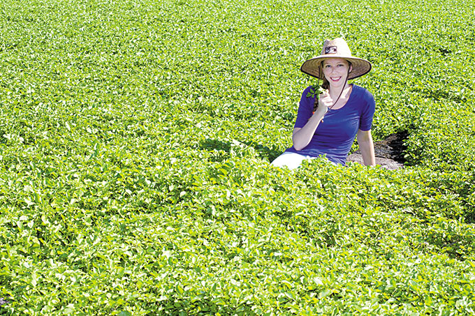 The family at Sumida Farm in Aiea, including third-generation operations manager David Sumida, welcomed Dining Out to explore the 10-acre farm, founded in 1928. Grown in natural spring water, the 300 tons of watercress produced here annually go on to supply many local ventures, including some of our favorite restaurants.