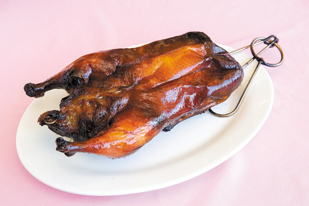 Hong Kong-Style Roast Duck ($12 half, $24 whole) A. Consillio photo 