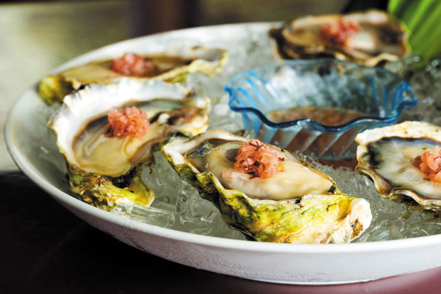 Pagoda's Gari Shoga Ginger Mignonette Oysters ($1.50 each during happy hour, $2.50 each after 6 p.m.)