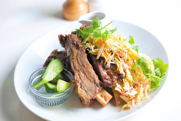 Twice-cooked Beef Short Rib with Asian Slaw ($24)