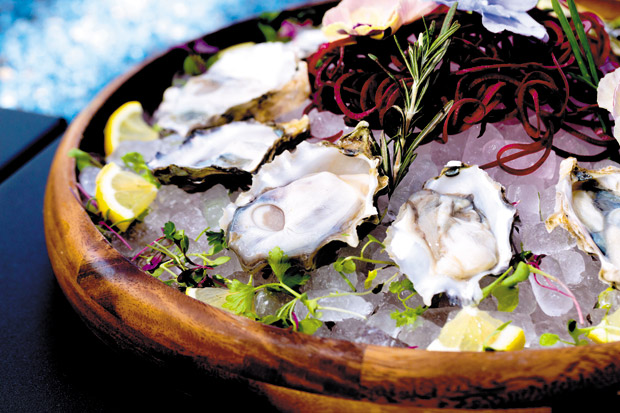 Oysters ($5 for three during happy hour; $15 half dozen, $27 for a dozen) 